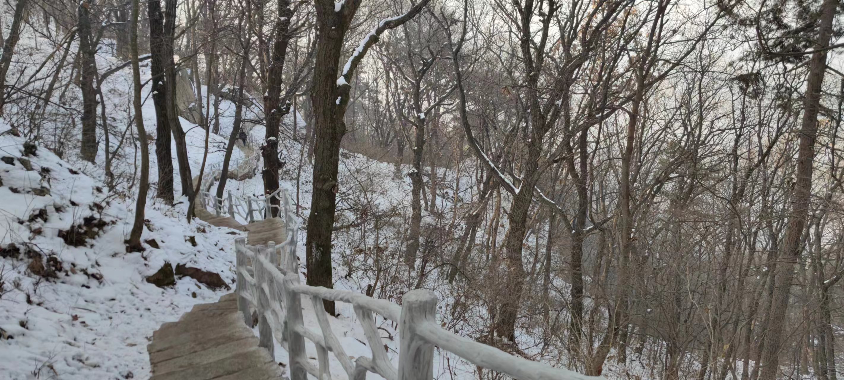 微信图片_202302091847036