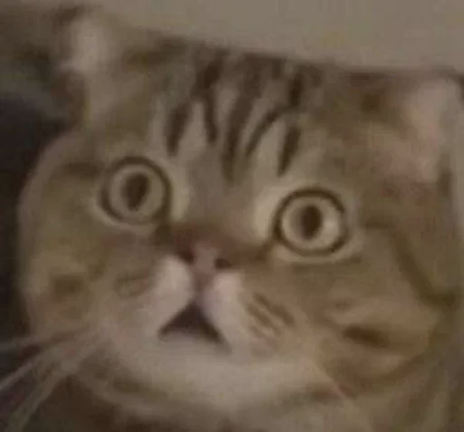 Jie_Yin_by_WuMingv2Bot_4