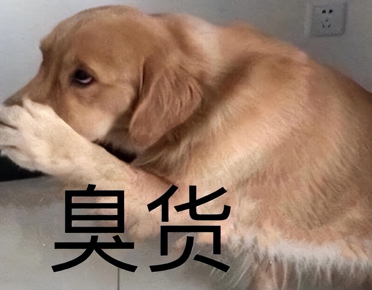 相亲遇到了来自三体的粪坑女